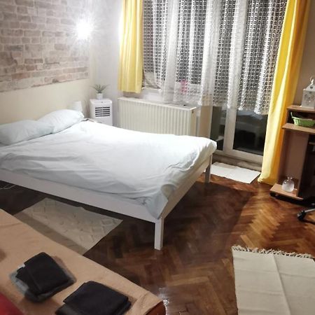 Ultracentral Cluj Napoca,Balcony,Fast Wifi,Parking Kültér fotó