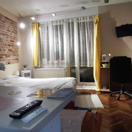 Ultracentral Cluj Napoca,Balcony,Fast Wifi,Parking Kültér fotó