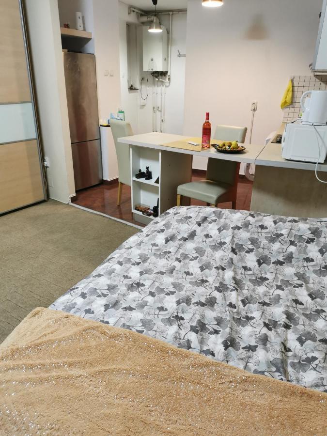 Ultracentral Cluj Napoca,Balcony,Fast Wifi,Parking Kültér fotó